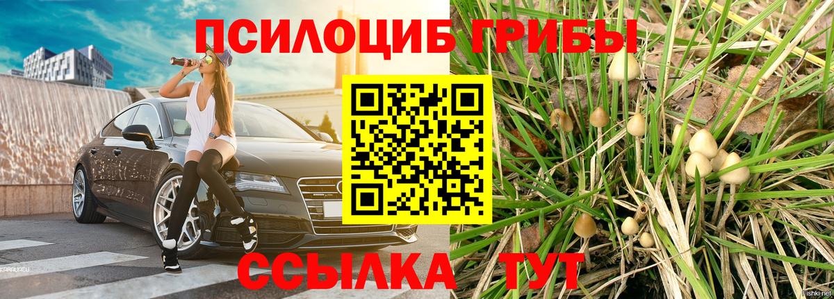 Галлюциногенные грибы Psilocybe  Вход с VPN  Партизанск 