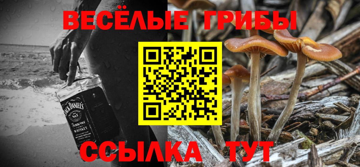Псилоцибиновые грибы мицелий Партизанск