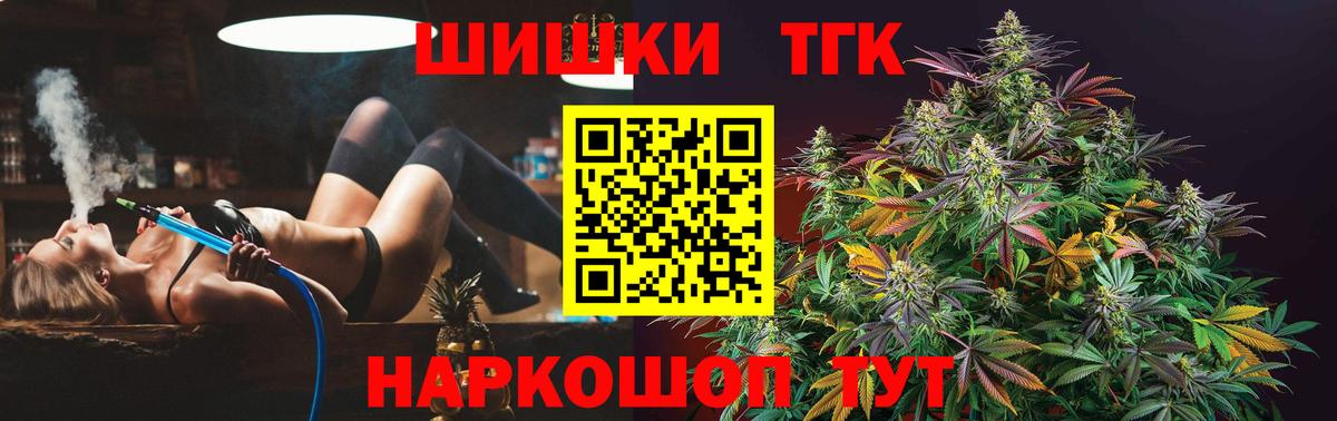 APVP Партизанск